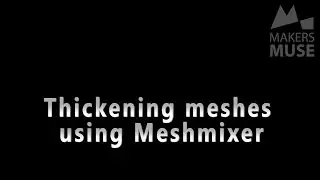 Add Thickness to Delicate 3D Prints! - 2015