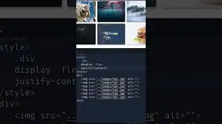 Image Gallery In HTML CSS 