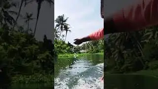 Poovar vibes