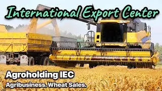 Agribusiness. Growing wheat and profit from its sale. Agroholding IEC. Agricultural industry.