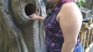 Playing Around At Tarzan's Treehouse