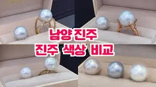 남양 진주 색상 비교 / 진주 색상 고민! 시원하게 해결하기 #진주 #진주반지 #해수진주