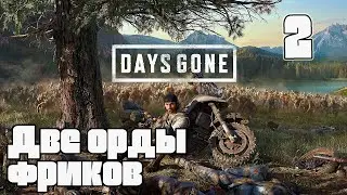 Days Gone #2 - Первые сражения с ордами (Стрим)