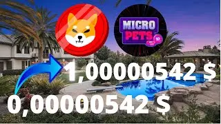 🚀МИКРО ПСЫ🚀SHIB. SHIB ПРОГНОЗ. SHIB КРИПТОВАЛЮТА.  MICROPETS . MICROPETS КРИПТОВАЛЮТА.  PETS ПРОГНОЗ
