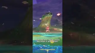 hidden task in genshin impact