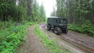 ВЕЗДЕХОД по типу ЛЕСНИК