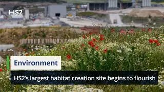 Wildlife begins to flourish at HS2’s largest habitat creation site 🐝🦋🌿