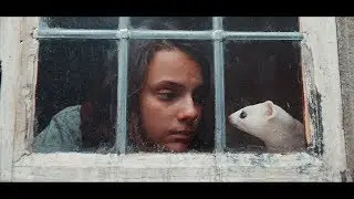 ❛ Dæmons ❜ | His Dark Materials
