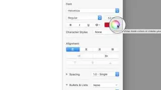 Custom Color in System Color Picker