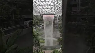 The Most Interesting & Amazing Placr You Should Go, Singapore Changi Airport Jewel. #changi #sg