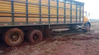 Boiadeiros do campo grande