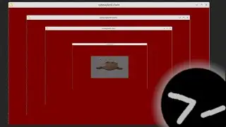 I put a window manager in my window manager