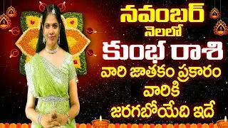 నవంబర్ కుంభరాశి2024  #Kumbh Rashi November kumbha Rashi  2024 November Aquarius Horoscope Rajasudha