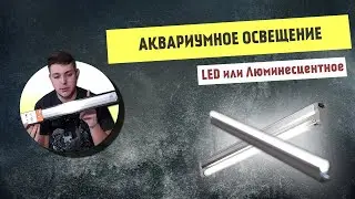 АКВАРИУМНОЕ ОСВЕЩЕНИЕ|Основы,Кельвин,Люмен,Ватт. Светодиодное и Люминесцентное
