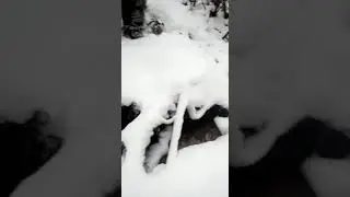 заблудились
