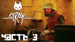 STRAY прохождение - КРЫШИ, УСТАНОВИТЬ ПРИЁМОПЕРЕДАТЧИК, ЗНАКОМСТВО С СЫНОМ ДОКА #3