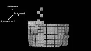 In-Plane and Out-of-Plane Growth Modes for Crystals of Gold Concave Nanocubes