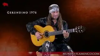 El Amir plays 3 espectacular Rosewood Guitars