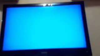 Обзор на DVD-диск 38 попугаев