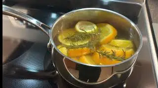 STOVE TOP POTPOURRI / CITRUS AIR FRESHENER / ORGANIC ROSEMARY PLANT