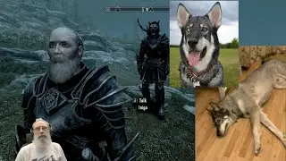 Assassin Assassinated - Bow of Shadows - Skyrim