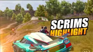 SCRIM HIGHLIGHT 🔥🦖