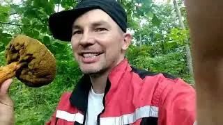 собираем грибы Владивосток шамора👌😁