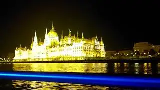 Birds Above the Hungarian Parliament - 2021