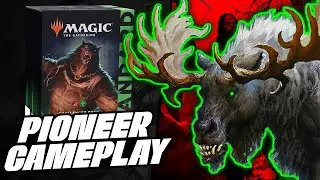 Playing the Standard Gruul Stompy Challenger Deck in PIONEER!