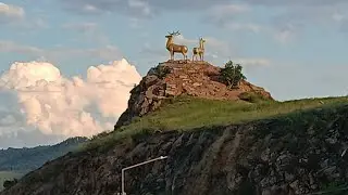 СЕЛЕНГА