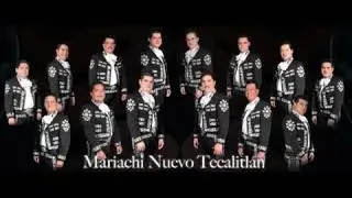 mariachi nuevo tecalitlan tu de que vas
