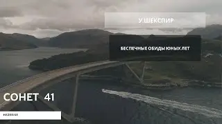 У.Шекспир – «Беспечные обиды юных лет» (Сонет 41)