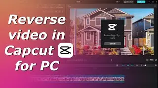 How to reverse videos in Capcut for PC | Create reversed video in Capcut for PC