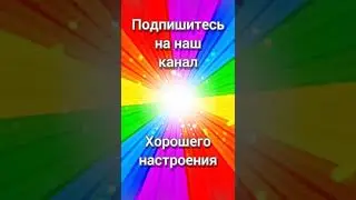 Видео-привет от выпускника. Арчибальд из Форцабелло, 3 месяца, серый щенок кане корсо