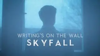 Writing's on the wall / Skyfall - GANZ A CAPPELLA