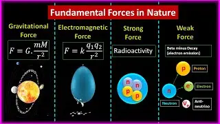 How 4 Fundamental Forces run the Universe 
