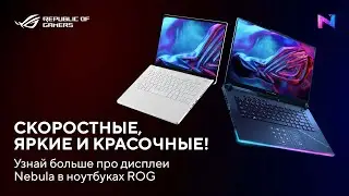 Яркие краски и сочные цвета | Обзор дисплеев ROG Nebula и ROG Nebula HDR