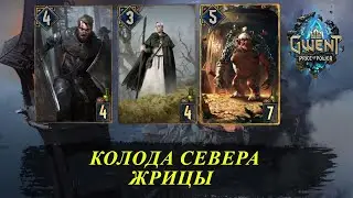 Gwent. Гвинт. Колода Севера на Жрицах. Патч 10.4