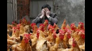 Tower Unite Condo: Poultry Parable