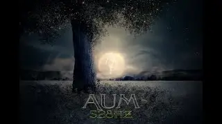 AUM 528hz + 963hz Pure Tone