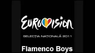 FLAMENCO BOYS