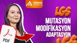 Mutasyon, Modifikasyon, Adaptasyon | LGS 2025