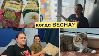 Шиндяевы: Новые росточки/Саша испачкал всё/игрушка для кота своими руками/вкусная доставка в Самаре