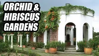 Orchid & Hibiscus Gardens, Kuala Lumpur Aug 2024