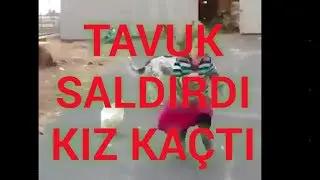 Tavuk saldırdı arkadaşım zor kurtuldu