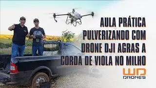 Aula prática pulverizando com drone DJI a Corda de Viola no milho com cliente prestador de serviço