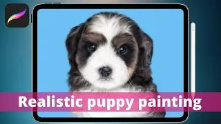 Realistic Dog Portrait // Step By Step Procreate Tutorial