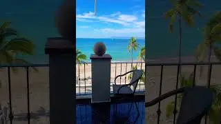 Ocean