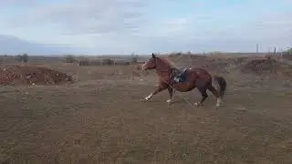 18 ноября 2018 г.