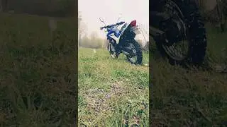 #Маябрь